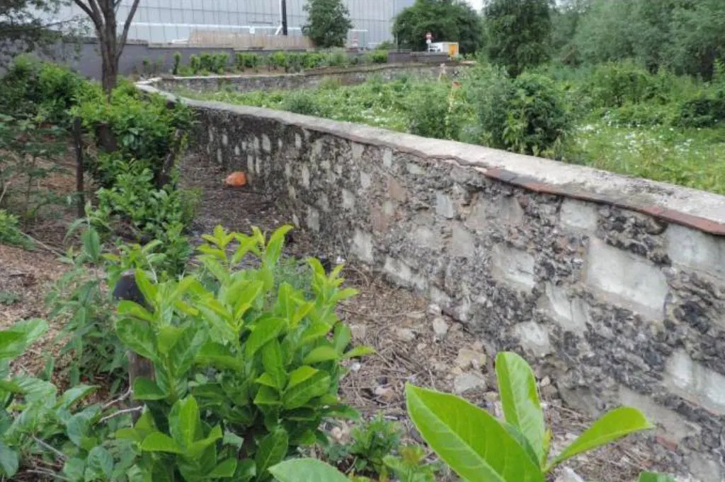 A section of Merton Priory’s historic flint and stone wall, showing signs of wear and age, surrounded by greenery.